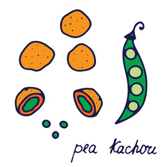 Hand drawn isolated indian food icon. Color fill illustration of indian dish. Indian snack pea kachori. 