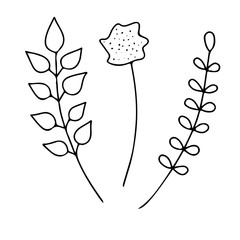 Isolated hand drawn vector branches. sketch floral elements. 