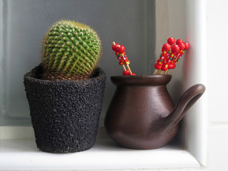 cactus and ceramic vase