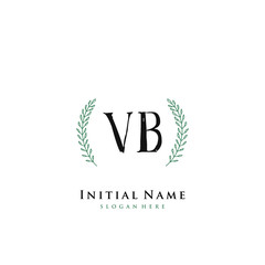 VB Initial handwriting logo vector