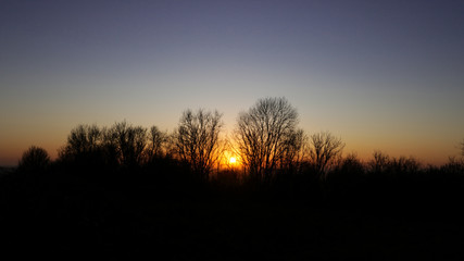 Silhouettes of Tree Branches Sunset