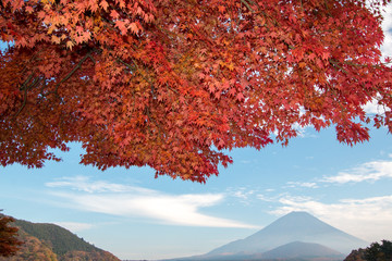 秋色と富士山