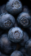 A lot of blueberries filling the whole frame. Concept: healthy nutrition, diet, recipes and farming. Background, grocery. Banner. 