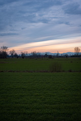 Rural landscape with view of the alps in northern Italy