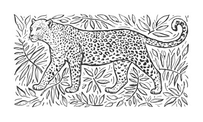 Sketch of a leopard with tropical plants. Engraving of a leopard. Wild animal. Vector black horizontal illustration on white background. Design for print, poster, banner, cover