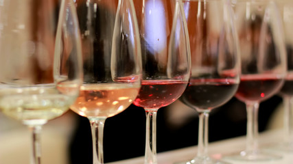 Cata de Vinos