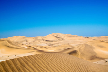 Fototapeta na wymiar Nature and landscapes of the namib desert.