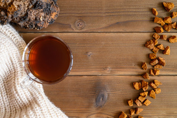 chaga tea mushroom from birch tree using for healing tea or coffee in folk medicine