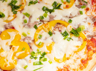 Close up Italian hot Pizza isolated on white background. Studio photo. Food concept.