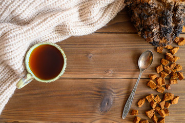 chaga tea mushroom from birch tree using for healing tea or coffee in folk medicine