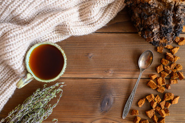 chaga tea mushroom from birch tree using for healing tea or coffee in folk medicine