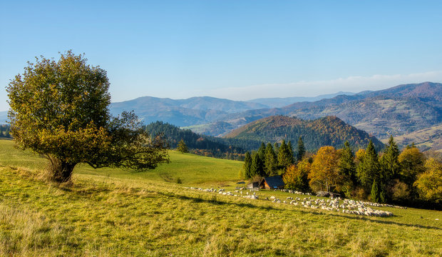 okolice Durbaszki, Małe Pieniny