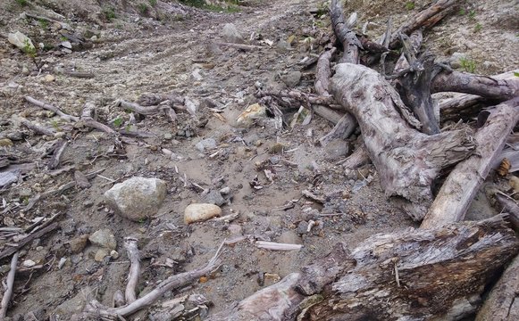 Soil heave near the road