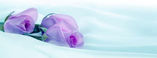Lilac rose bouquet flower on silk.  Nature horizontal background.