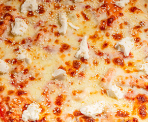 Close up Italian hot Pizza isolated on white background. Studio photo. Food concept.