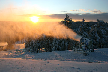 Sn&ouml;kanon i J&auml;rvs&ouml;backen