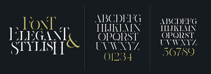 vector illustration. Stylish elegant vector composite font. set of letters english alphabet. uppercase letters, lowercase letters and numbers