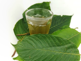 Herbal drink Kratom for body care