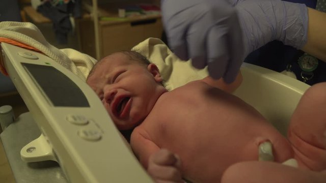 Newborn baby being weighed in Maternity unit in the hospital. She has just been born and is on the scales.