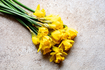 Daffodils  st Davids day  Knolling concept  wales  