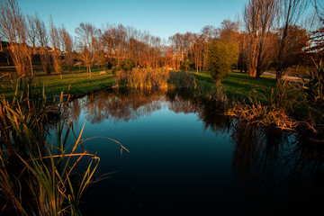 Lago do do Parque de Vilar do Alenten, Portugal © cristina