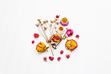 Composition of dried flowers isolated on a white background. Roses, cherry, xerantemum