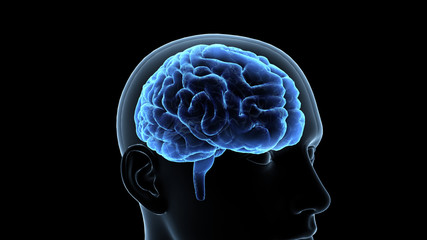 Obraz premium Brain head human mental idea mind 3D illustration background