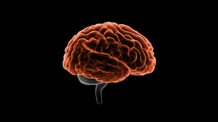 Brain head human mental idea mind 3D illustration background