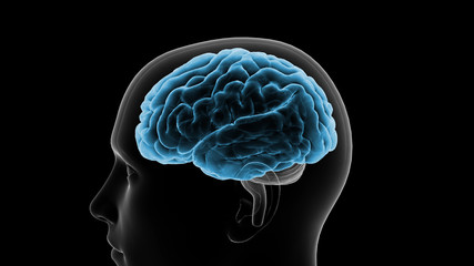 Brain head human mental idea mind 3D illustration background