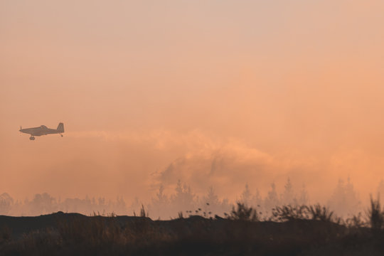 Avioneta asiste en incendio forestal