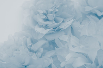 Beautiful Abstract Color Purple And Blue Flowers On White Background And Blue Flower Frame And Purple Leaves Texture Light Blue Background Colorful Banner Happy Valentine Wall Mural Weerayuth