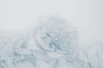 Beautiful abstract color purple and blue flowers on white background and blue flower frame and...