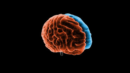 Brain head human mental idea mind 3D illustration background