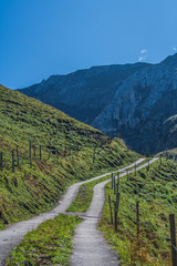 Beautiful swiss alps mountains. road.