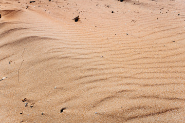 Beautiful sand dunes in desert