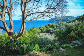 Fototapeta na wymiar Scenic view of coast in Deia, Mallorca, Spain