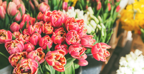 Beautiful bouquet of fresh blossom tulips