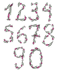 Floral numbers. Vector isolated illustration on white background.