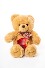 Fluffy teddy bear isolated on white