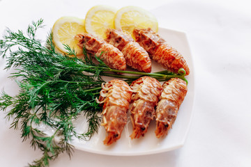 Shrimp on a plate with lemon and dill. White background