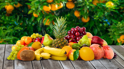 set of different fruits isolated on white background