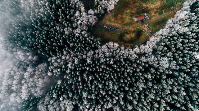 Herbstliche Luftaufnahme mit einer Drone
