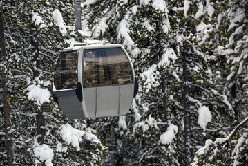 Gondola amid snow covered forest at ski resort © Brett