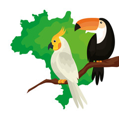 map of brazil with parrot and toucan isolated icon