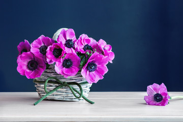 Bouquet of spring flowers ,anemones, blue background