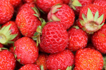 Ripe red pine strawberries background. Closeup. Macro