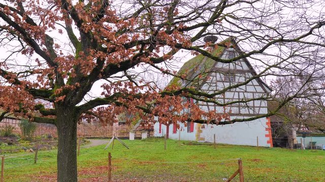 Arbol rojo oto&ntilde;al con hojas en pueblo rural de casas de colores entramadas de madera