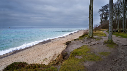 Ostsee Gespenterwald Nienhagen im trüben Winter HD