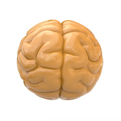 Human brain icon 3d illustration