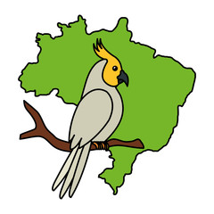 map of brazil with parrot bird isolated icon